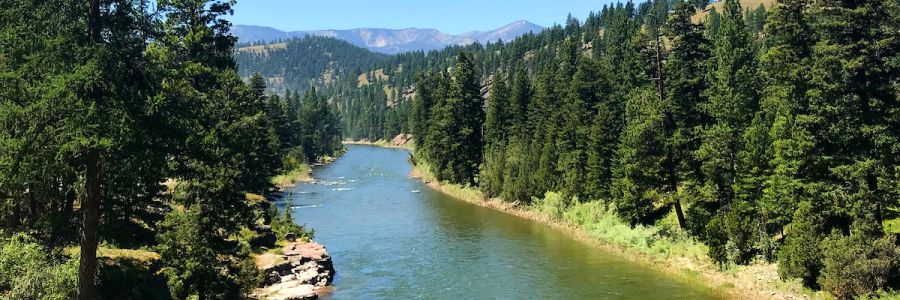 river flowing along conifer tree covered banks with large mountains in the far background
