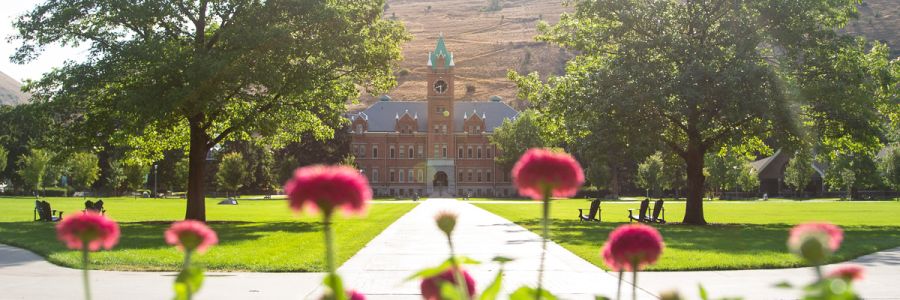 University Hall in the distance on a sunny day with a line of flowers in the foreground