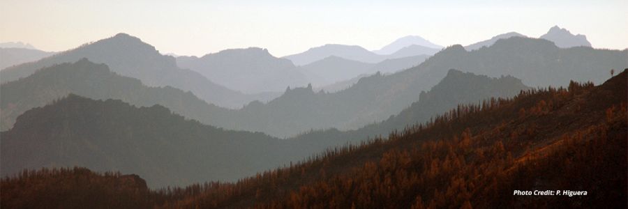 series of rows of sharp tree covered mountains