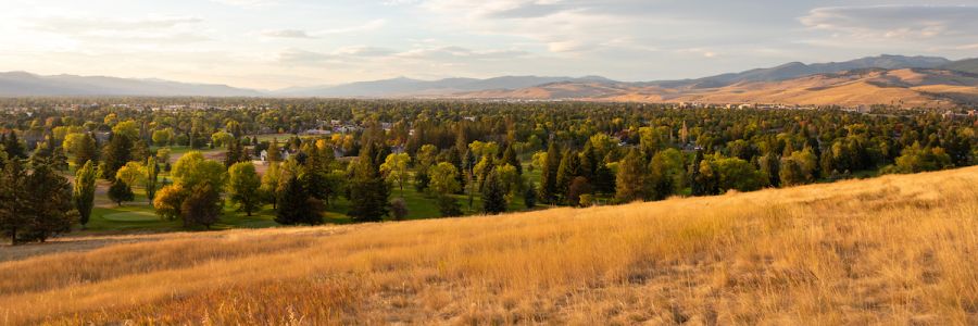 Missoula seen from a golden grass covered hill with mountains in the background