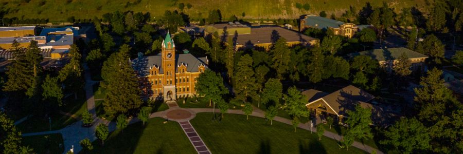view of University Hall and part of the oval from above in dramatic light