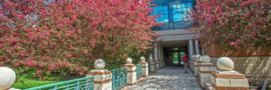 entrance of the Gallagher Business Building with trees in bloom