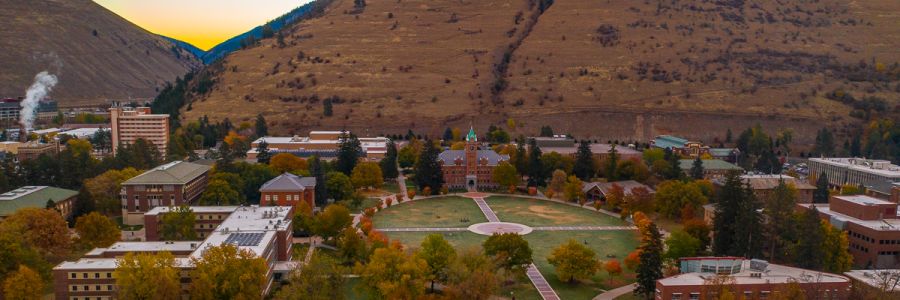 University Hall and the oval seen from above with autumn colored trees