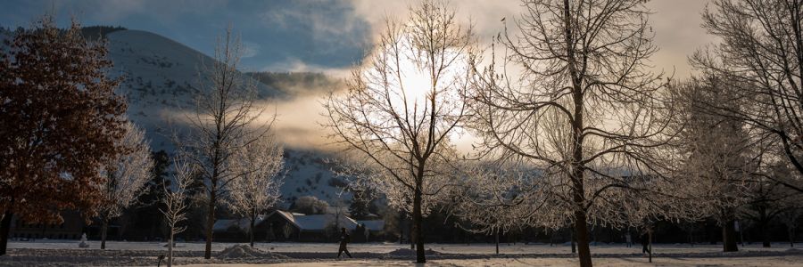 UM campus on a frosty winter morning with the sun shining through fog and clouds