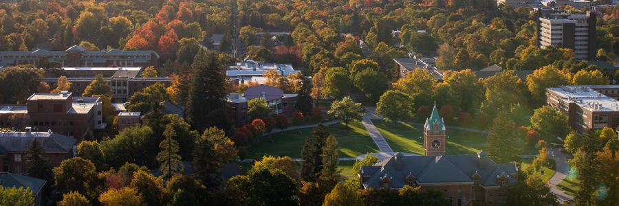 view of campus from above and behind University Hall