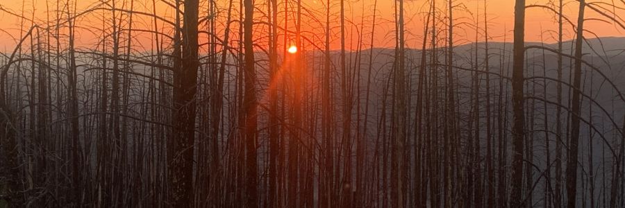 sun setting behind mountains with leafless trees in the foreground