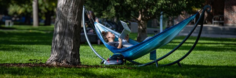 student studying with a laptop while laying in a hammock on the UM campus