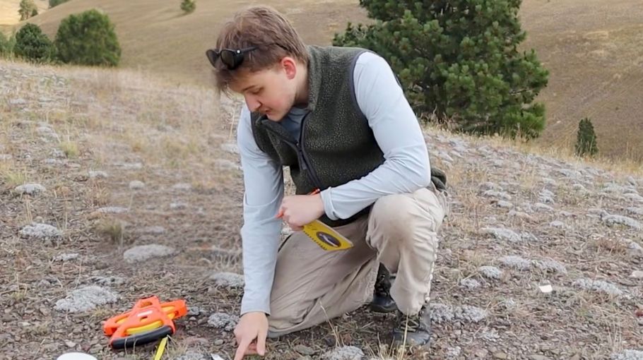 dalton points at a cushion plant
