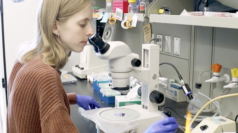 gabriella sits at a microscope and reaches for the next sample