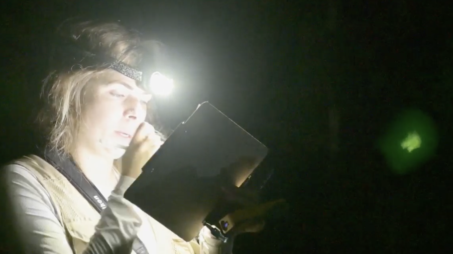 sophia records on a clip board at night while a glowing green bug floats nearby