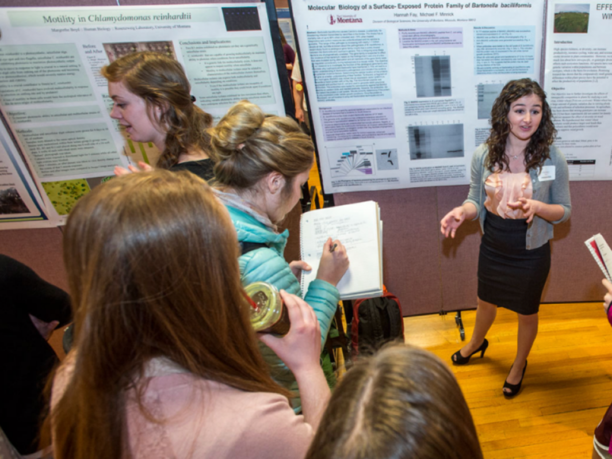 Student presenting at UMCUR in previous years.