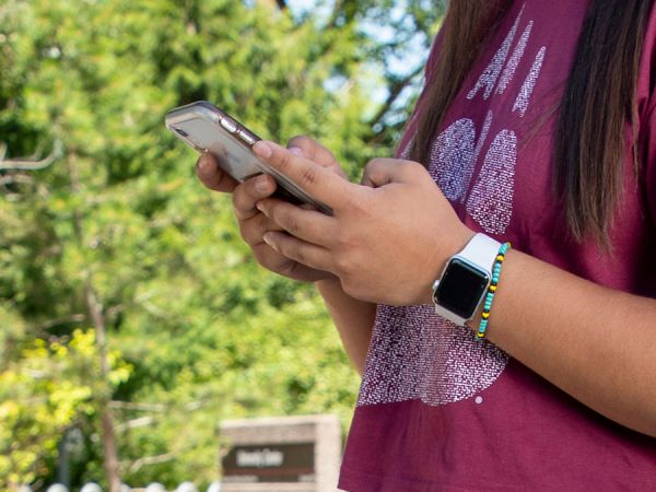 a person looking at their cell phone