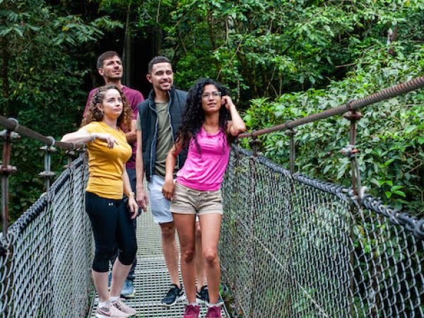 Students on a wooden bridge
