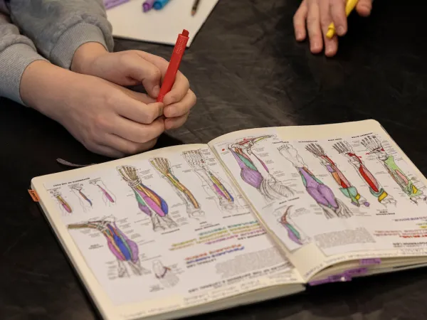 Notebook opened to a page for studying the anatomy of lower leg / calf muscles, tendons and movement.