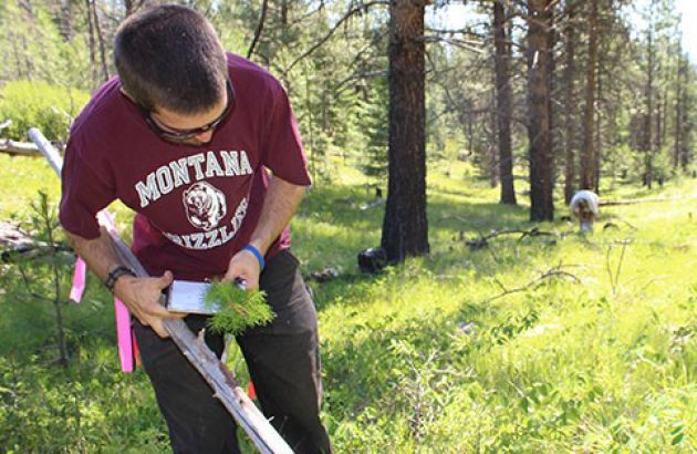 Student in the field