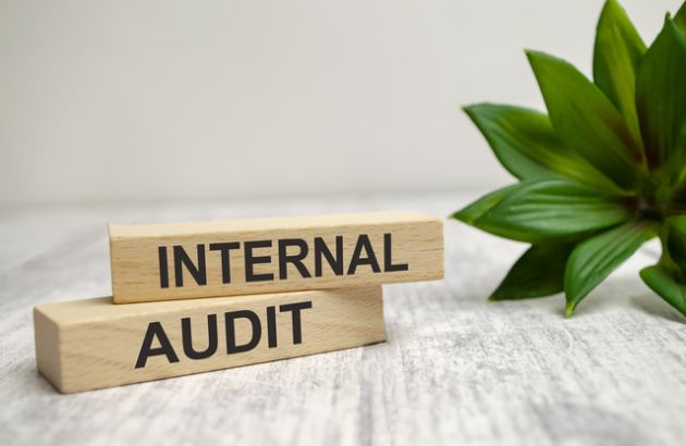 Internal Audit