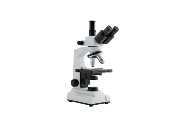 Microscope