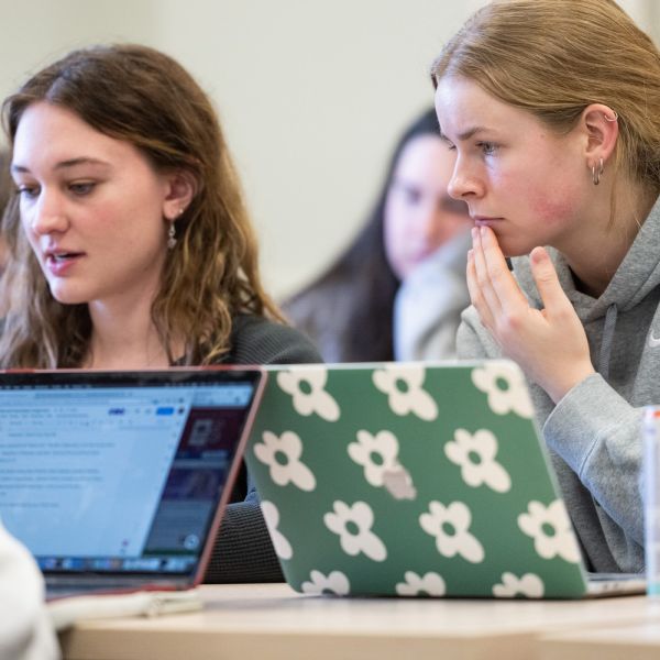 yellow flowers at glacier national park