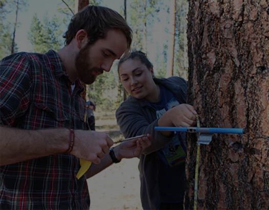 Forestry student navigating in the woods using a map and compass