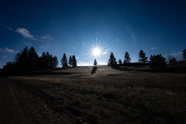 Sun over a hillside with trees at UM's Bandy Ranch