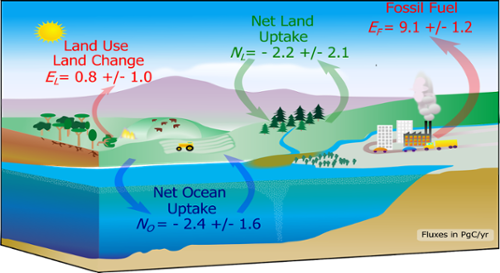 Carbon-Climate Feedbacks