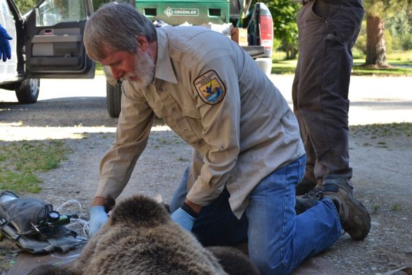Photo of Wayne Kasworm