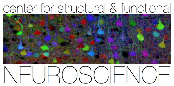 Center for Structural and Functional Neuroscience