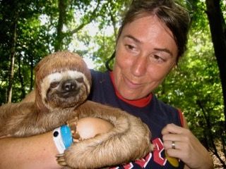Sasha Sloth