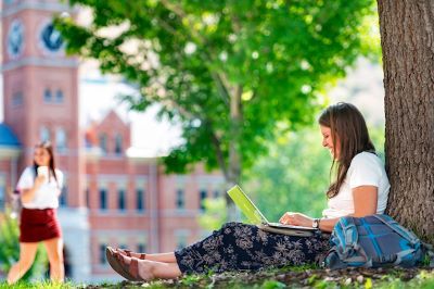adult sitting under tree using laptop
