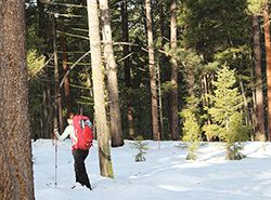 Cross-country skiing at Lubrecht