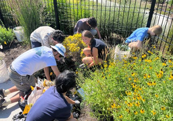 High school students volunteer in a community garden.
