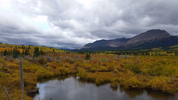 A wide angle shot of a beaver pool in Montana.