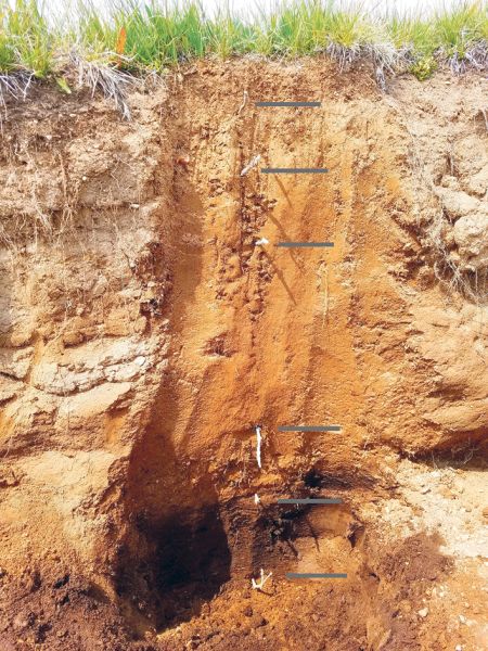 A cross section slice of a layer of Earth, showing its stratigraphy.