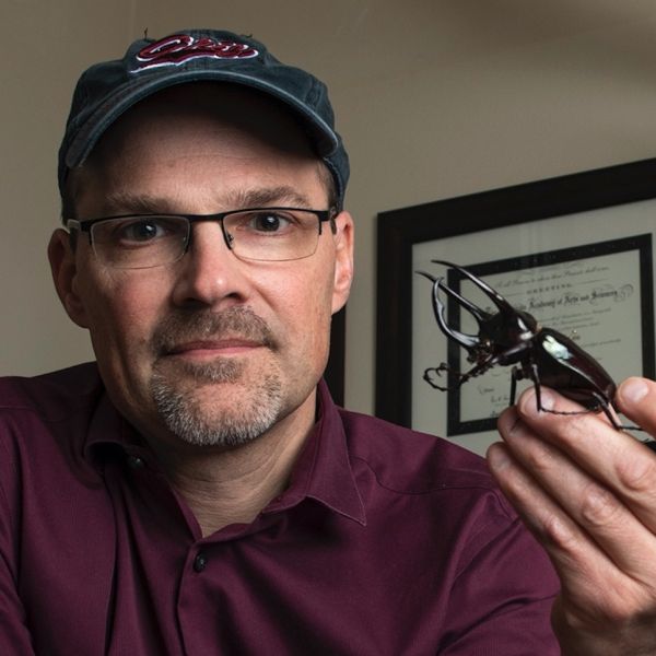 A person wearing glasses holds a rhinoceros beetle and stares seriously at the camera.