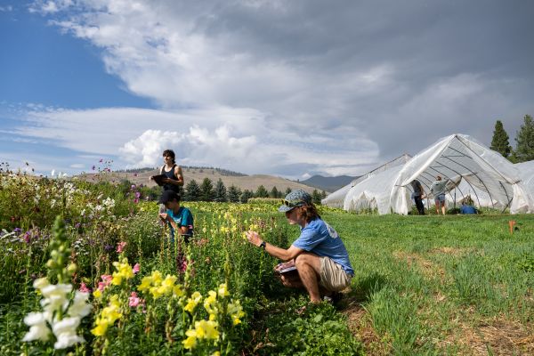Interns tending the PEAS Farm