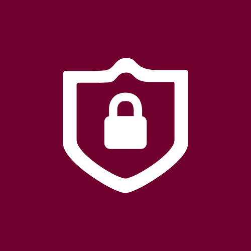 Secure lock icon