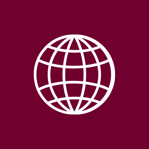 Internet globe icon