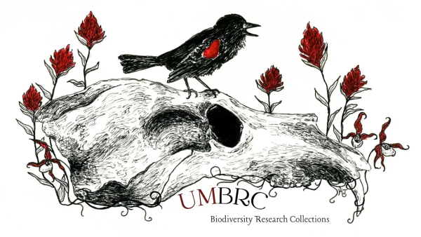 Biodiversity Research Collections Logo