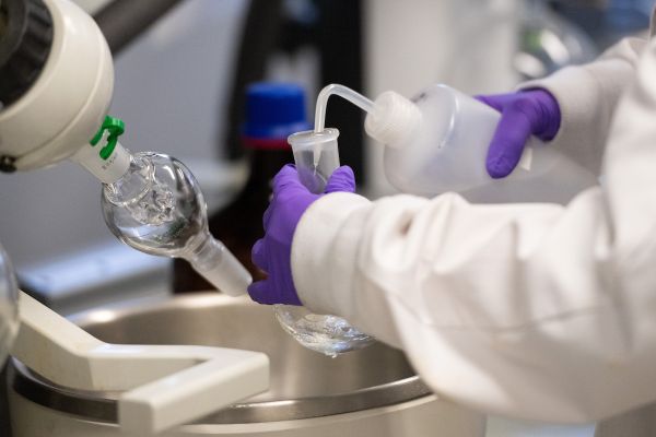 purple gloved lab tech pours chemical into a flask