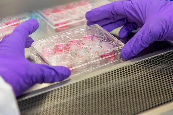 Scholar with computer light on face and a large microscope in background