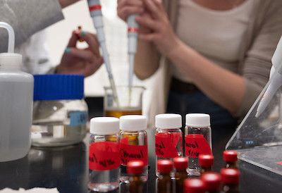 two students use pipettes in a beaker