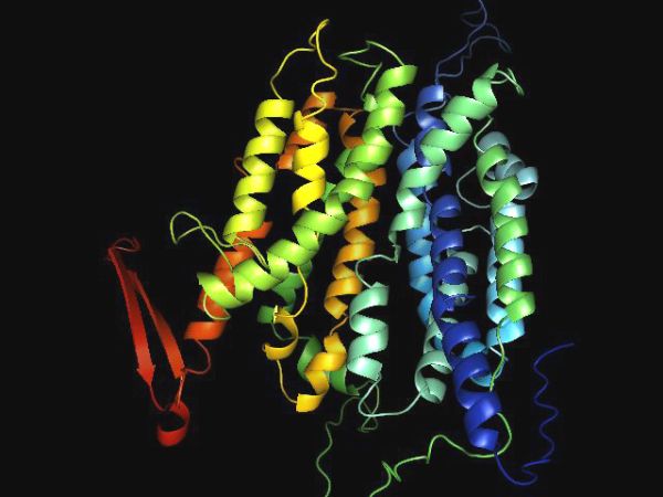rainbow colored curly strands of biological protein