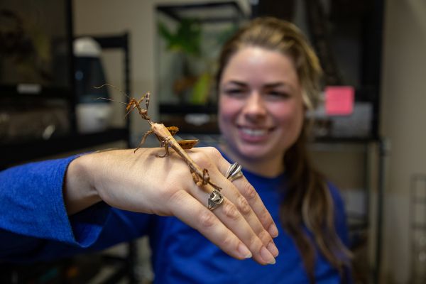stick bug on hand with face of holder behind