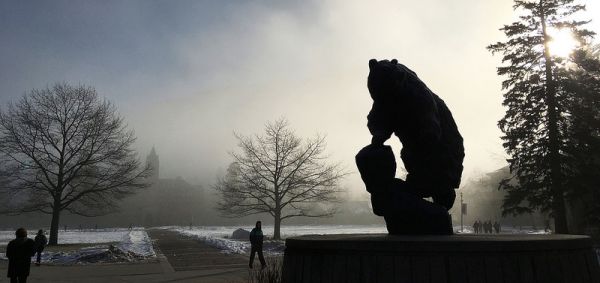 griz statue in fog