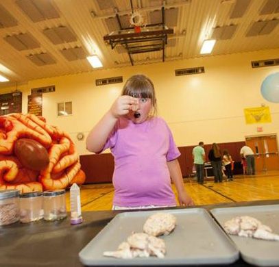 Brain: A World Inside Your Head