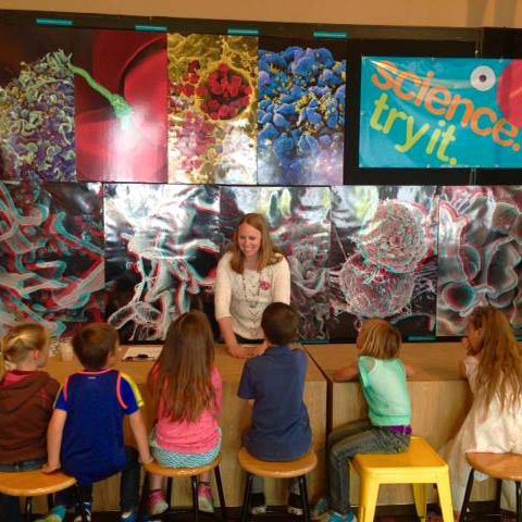 Nano Discovery Bench