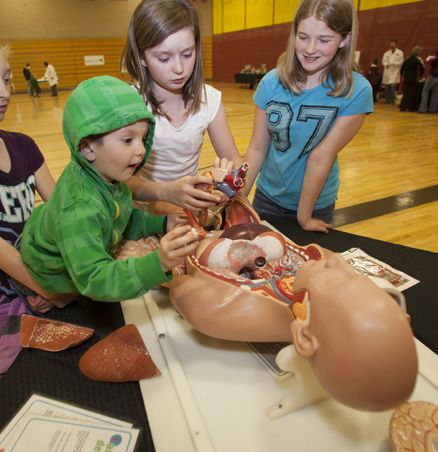 Surgery Station: Anabody