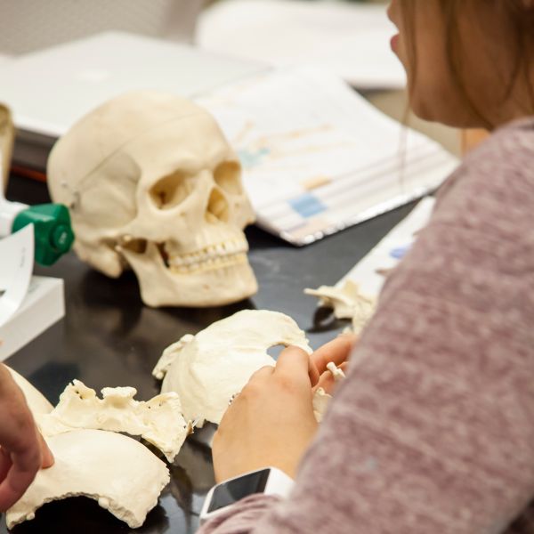 Labs and Simulations