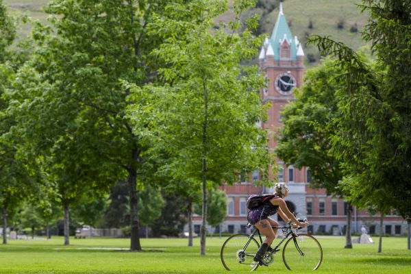 Admissions Process 