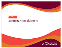 FY25 Strategy Annual Report